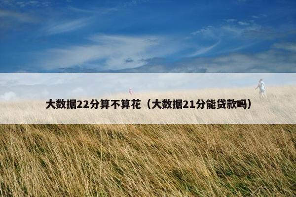 大数据22分算不算花（大数据21分能贷款吗）