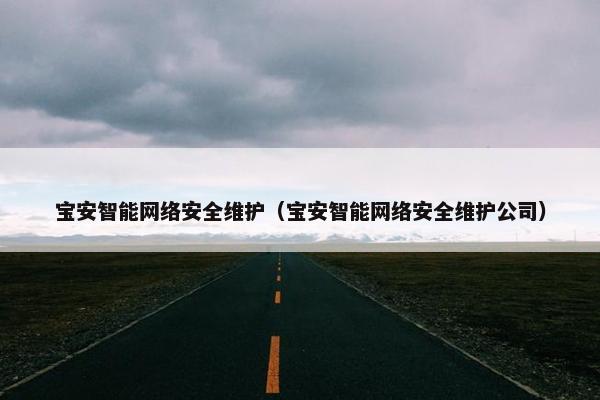 宝安智能网络安全维护（宝安智能网络安全维护公司）