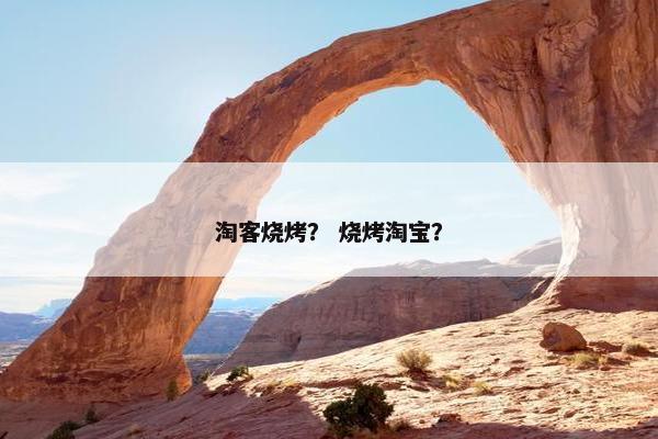 淘客烧烤？ 烧烤淘宝？