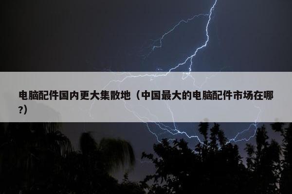 电脑配件国内更大集散地（中国最大的电脑配件市场在哪?）
