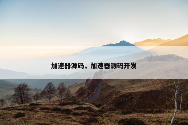 加速器源码，加速器源码开发