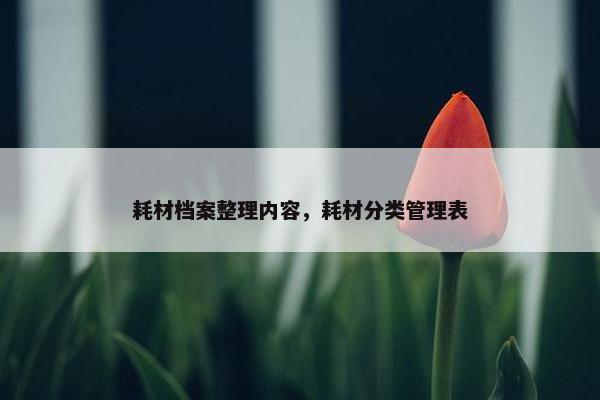 耗材档案整理内容，耗材分类管理表