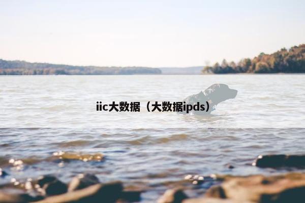 iic大数据（大数据ipds）