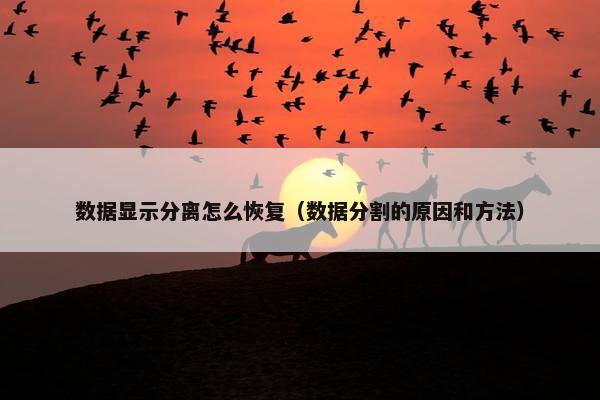 数据显示分离怎么恢复（数据分割的原因和方法）