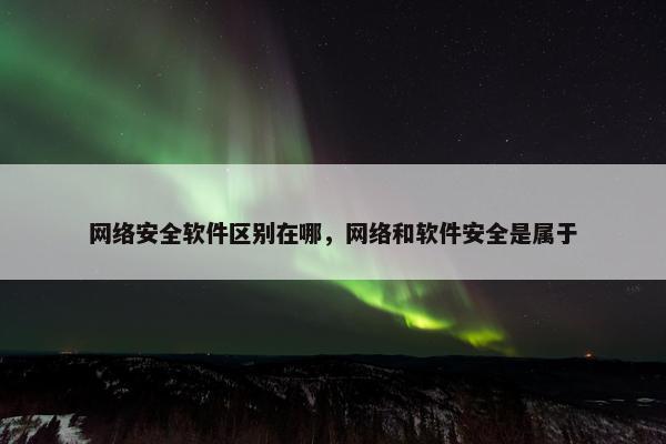 网络安全软件区别在哪，网络和软件安全是属于
