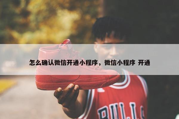 怎么确认微信开通小程序，微信小程序 开通