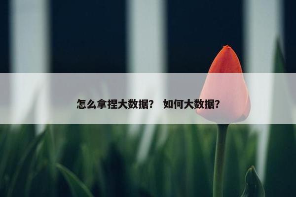 怎么拿捏大数据？ 如何大数据？