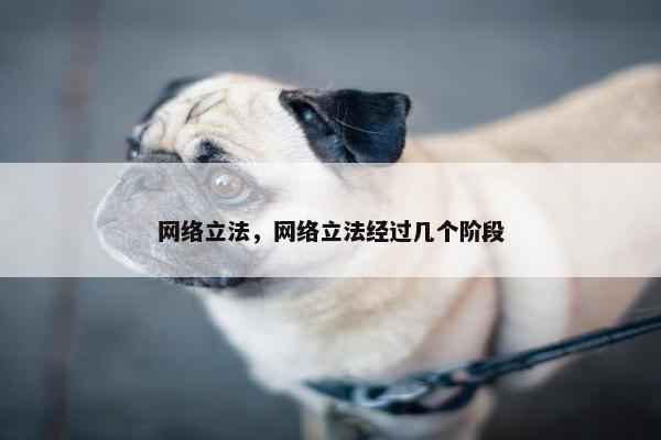 网络立法，网络立法经过几个阶段