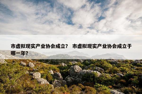 市虚拟现实产业协会成立？ 市虚拟现实产业协会成立于哪一年？