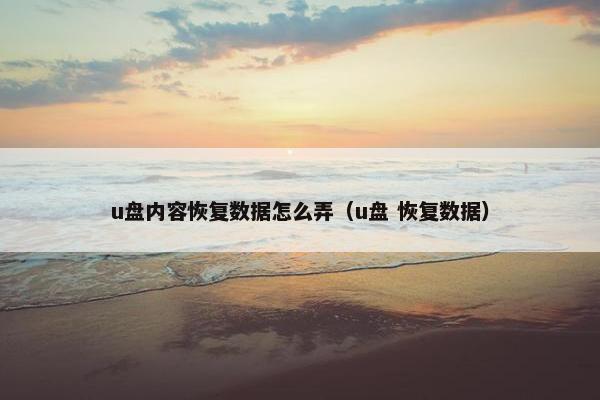 u盘内容恢复数据怎么弄（u盘 恢复数据）