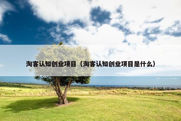 淘客认知创业项目（淘客认知创业项目是什么）