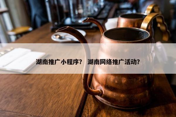 湖南推广小程序？ 湖南网络推广活动？