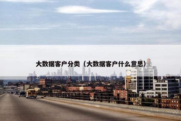 大数据客户分类（大数据客户什么意思）