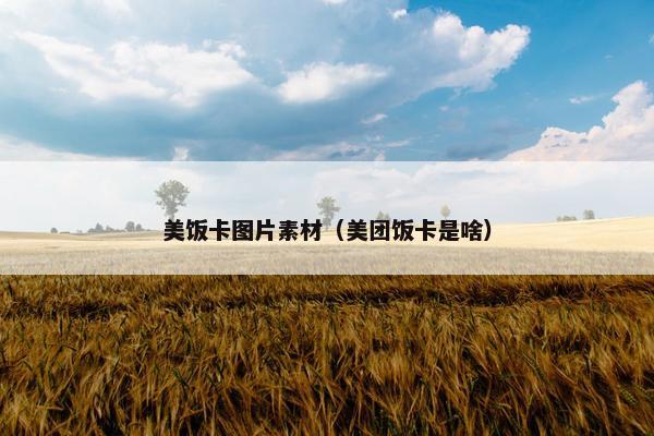 美饭卡图片素材（美团饭卡是啥）