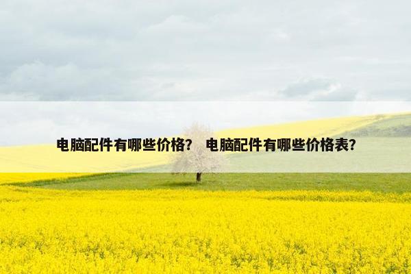 电脑配件有哪些价格？ 电脑配件有哪些价格表？