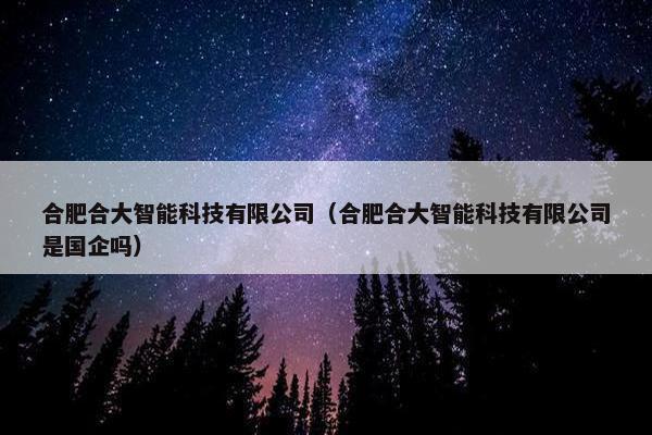 合肥合大智能科技有限公司（合肥合大智能科技有限公司是国企吗）