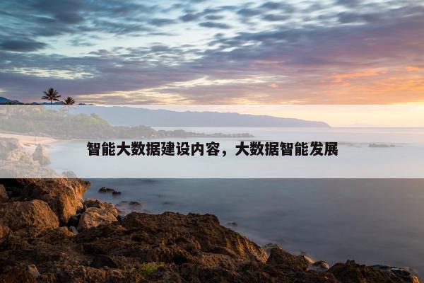 智能大数据建设内容，大数据智能发展