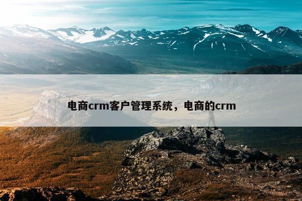 电商crm客户管理系统，电商的crm