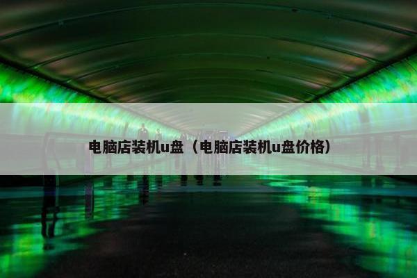 电脑店装机u盘（电脑店装机u盘价格）