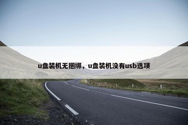 u盘装机无捆绑，u盘装机没有usb选项