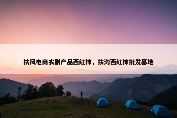 扶风电商农副产品西红柿，扶沟西红柿批发基地