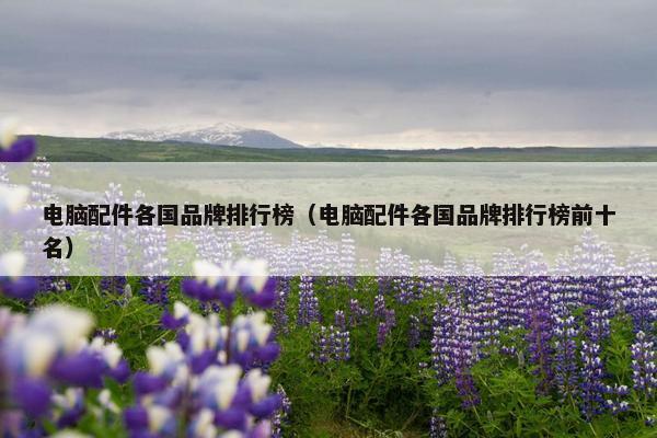 电脑配件各国品牌排行榜（电脑配件各国品牌排行榜前十名）