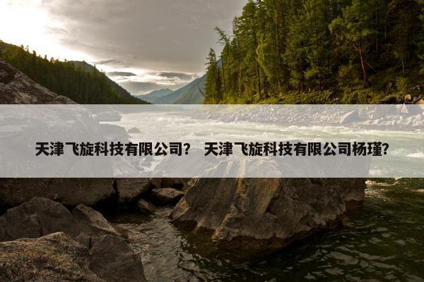 天津飞旋科技有限公司？ 天津飞旋科技有限公司杨瑾？
