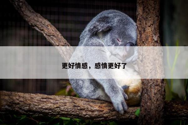 更好情感，感情更好了
