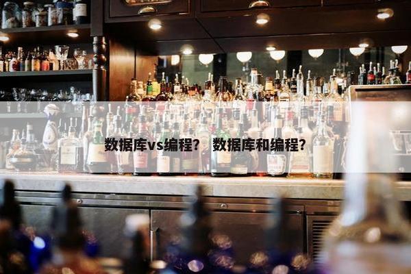 数据库vs编程？ 数据库和编程？