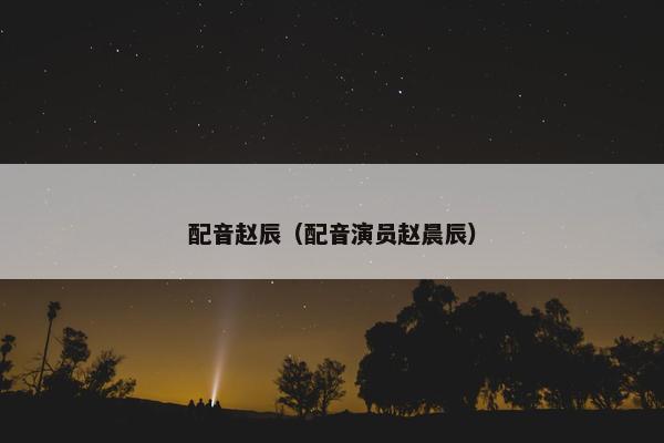 配音赵辰（配音演员赵晨辰）
