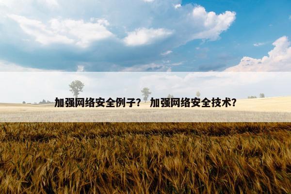 加强网络安全例子？ 加强网络安全技术？