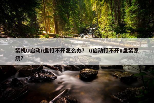 装机U启动u盘打不开怎么办？ u启动打不开u盘装系统？