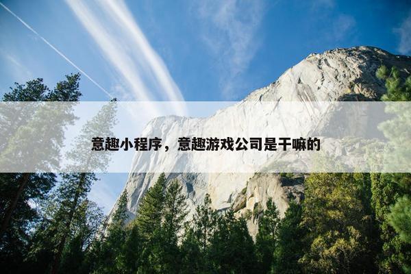 意趣小程序，意趣游戏公司是干嘛的