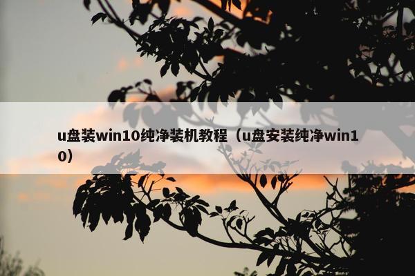 u盘装win10纯净装机教程（u盘安装纯净win10）