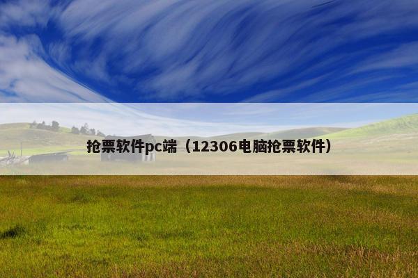 抢票软件pc端（12306电脑抢票软件）