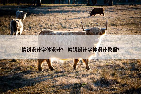 精锐设计字体设计？ 精锐设计字体设计教程？
