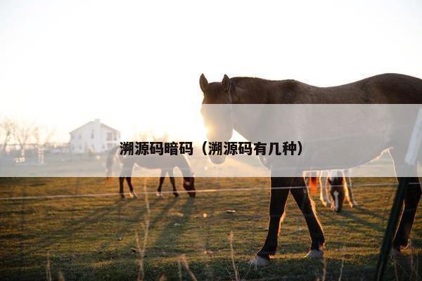 溯源码暗码（溯源码有几种）