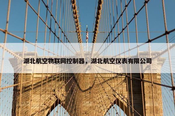 湖北航空物联网控制器，湖北航空仪表有限公司