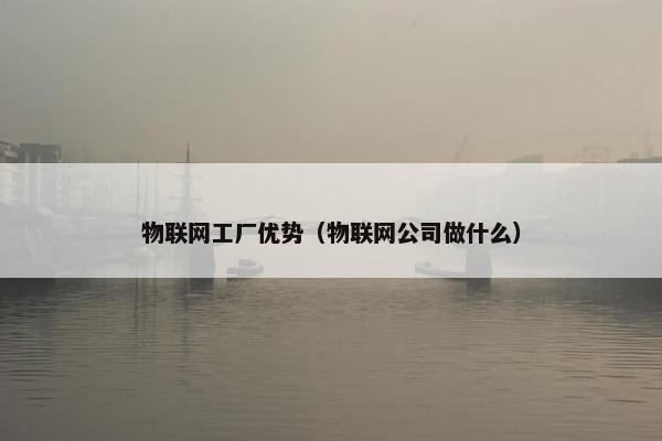 物联网工厂优势（物联网公司做什么）