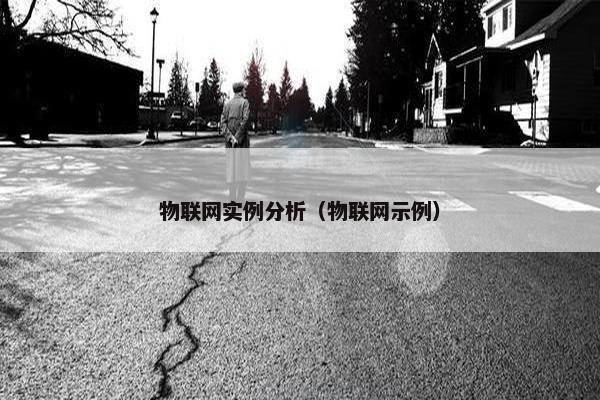 物联网实例分析（物联网示例）
