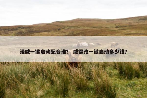 漫威一键启动配音谁？ 威霆改一键启动多少钱？
