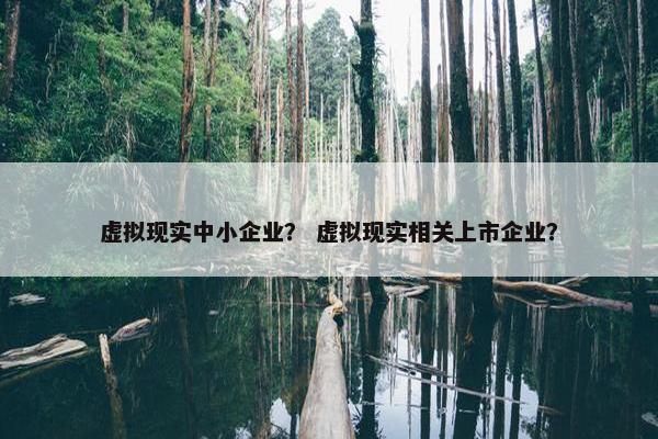 虚拟现实中小企业？ 虚拟现实相关上市企业？