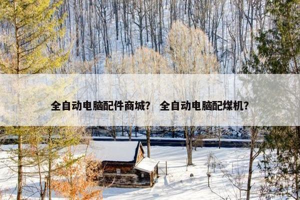 全自动电脑配件商城？ 全自动电脑配煤机？