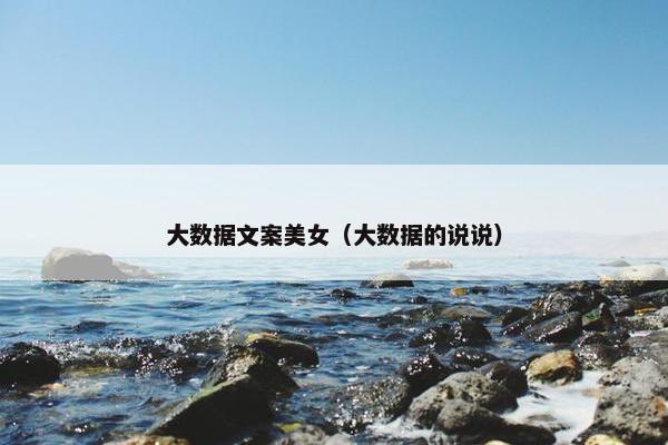 大数据文案美女（大数据的说说）
