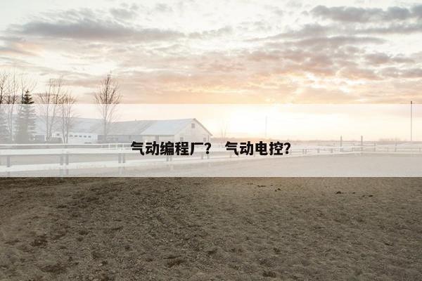 气动编程厂？ 气动电控？