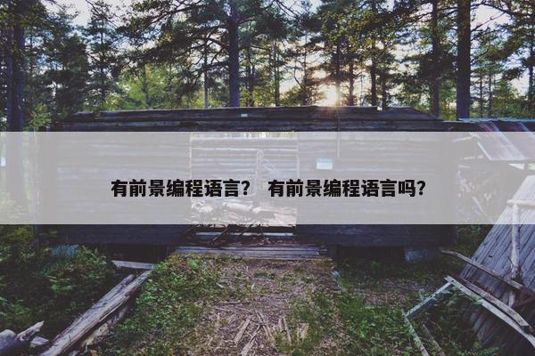 有前景编程语言？ 有前景编程语言吗？