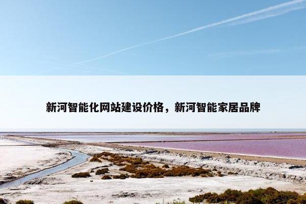 新河智能化网站建设价格，新河智能家居品牌
