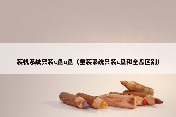 装机系统只装c盘u盘（重装系统只装c盘和全盘区别）