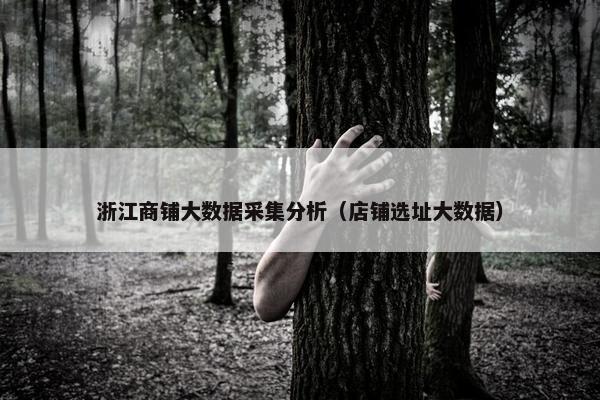 浙江商铺大数据采集分析（店铺选址大数据）