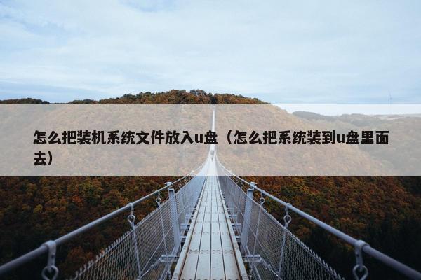 怎么把装机系统文件放入u盘（怎么把系统装到u盘里面去）